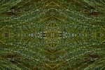 Drewdrop galaxy (Mandala-HH3_080502_9432_Mandala01)