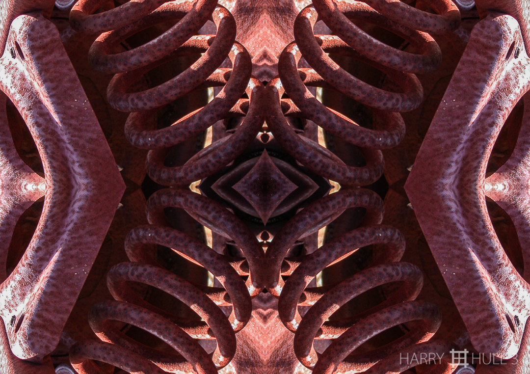 Auto parts: version 4. Photo of details of wrecked automobile on flanks of Mount Tamalpais in the State Park, Marin County, California.