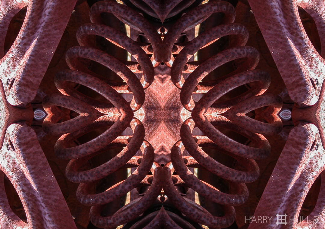 Auto parts: version 2. Photo of details of wrecked automobile on flanks of Mount Tamalpais in the State Park, Marin County, California.