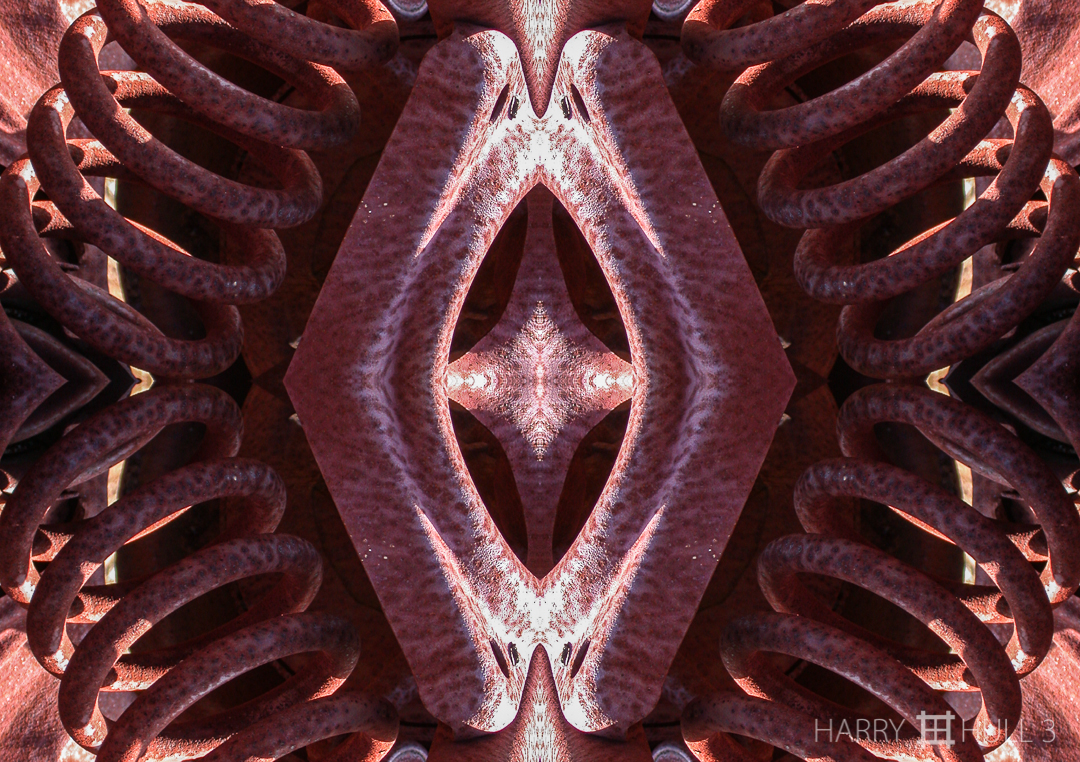 Auto parts: version 1. Photo of details of wrecked automobile on flanks of Mount Tamalpais in the State Park, Marin County, California.