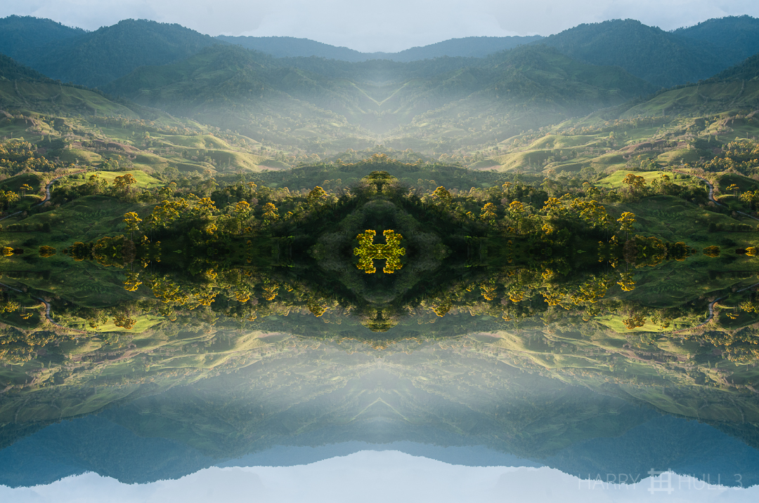 Tree in the valley. Photo of hills of Coto Brus near San Vito, Costa Rica, in late afternoon light.