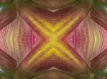 Leaf geometries: version 1 (Mandala-HH3_130406_0693C-Edit-4)