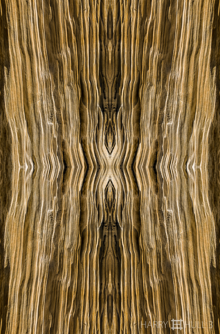 Wood grain icon. Photo close-up of weathered pine, White Mountains, Inyo National Forest, California.