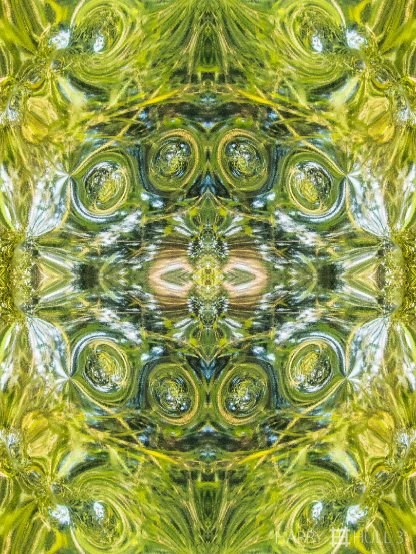 Emerald cobochons. Photo close-up of reflections of greenery in a polished steel gate pockmarked with random dimples, Santa Elena de Heredia, Costa Rica.