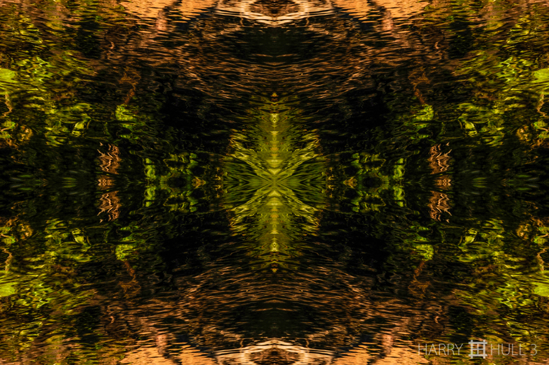 Beyond the surface. Photo of the reflections of the river bank in the surface of the water, Rio Negro, Pananal, Brazil.