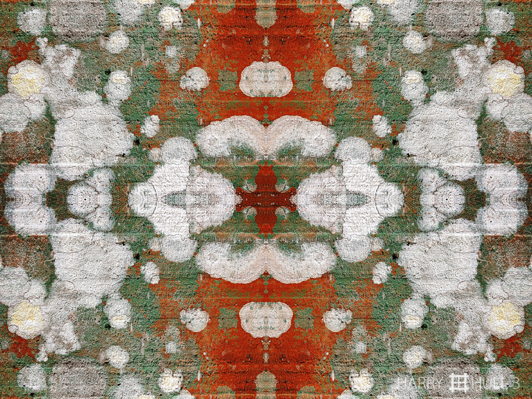 Algae Rorschach. Photo of algae on cement post, Finca Cantaros, San Vito, Costa Rica.