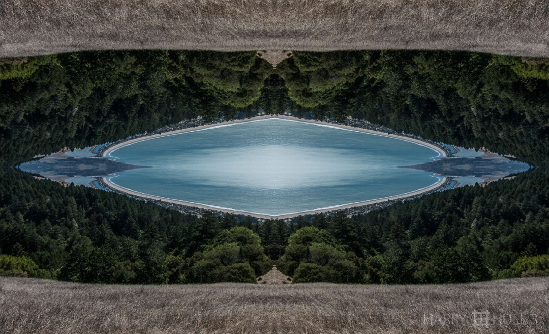 Sea forest. Photo of Stinson Beach from the west slope of Mount Tamalpais State Park, Marin County, California.