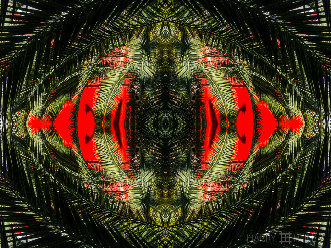 Palm eye? Photo of red exterior ventilation duct through nearby palm plants, Los Angeles County Museum of Art, Los Angeles, California.