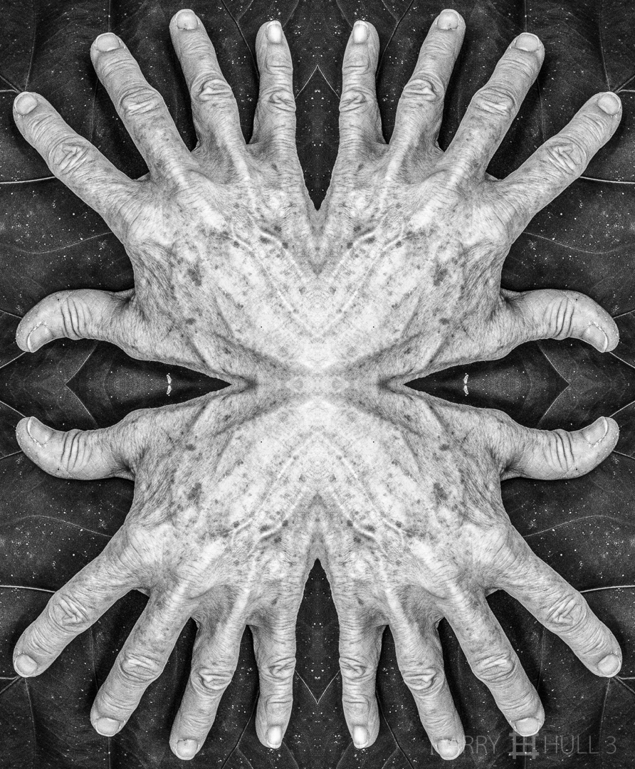 Hand crab. Photo of a hand over a large leaf.