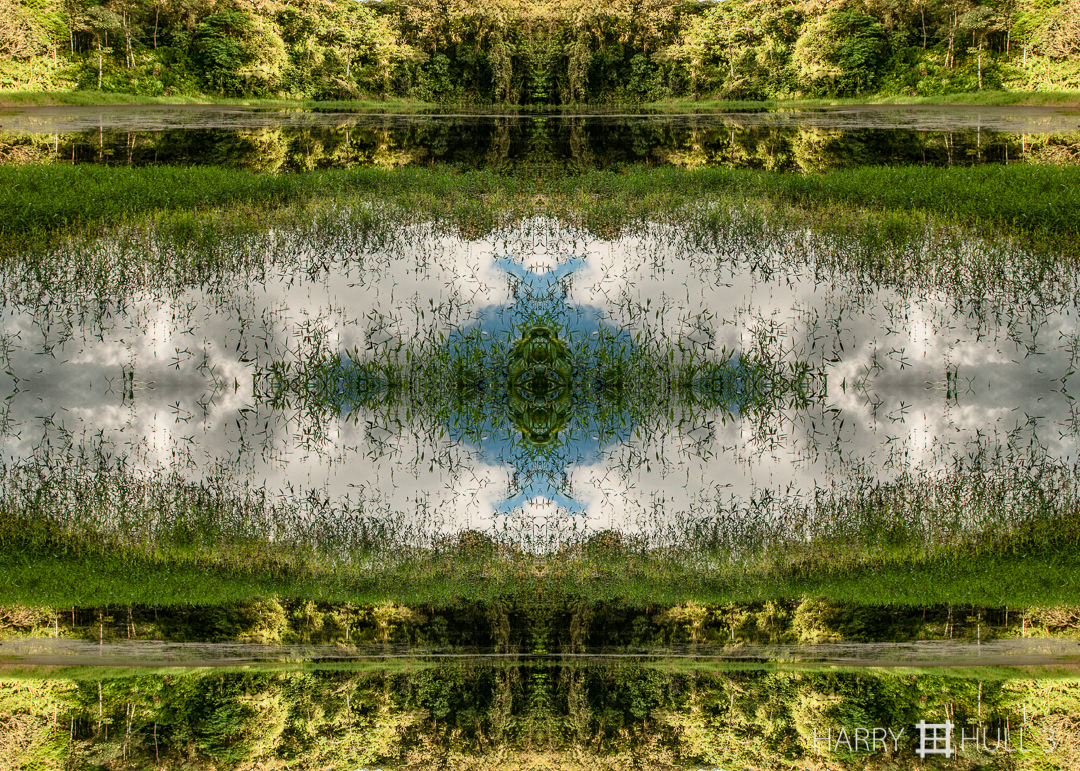 Sky lake. Photo of Laguna Zoncho, a pond/wetland on Finca Cantaros, San Vito, Costa Rica.