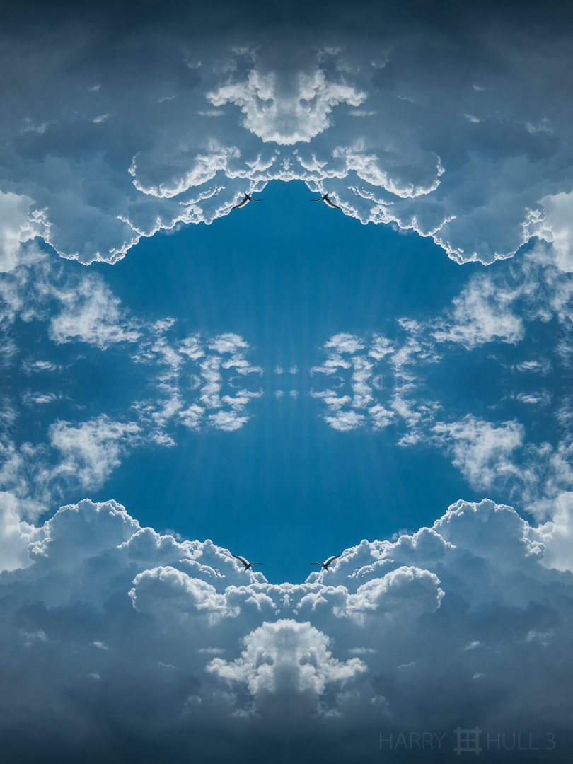 Cloud birds. Photo of seagull against clouds and sky over the Golfo Dulce, Costa Rica.