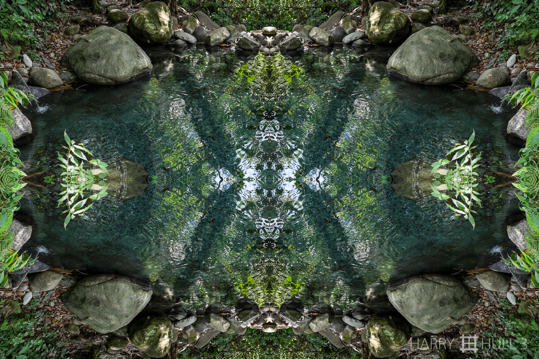 Forest pool. Photo of Aguas Calientes hot spring near the Rio Coton, Coto Brus, Costa Rica.