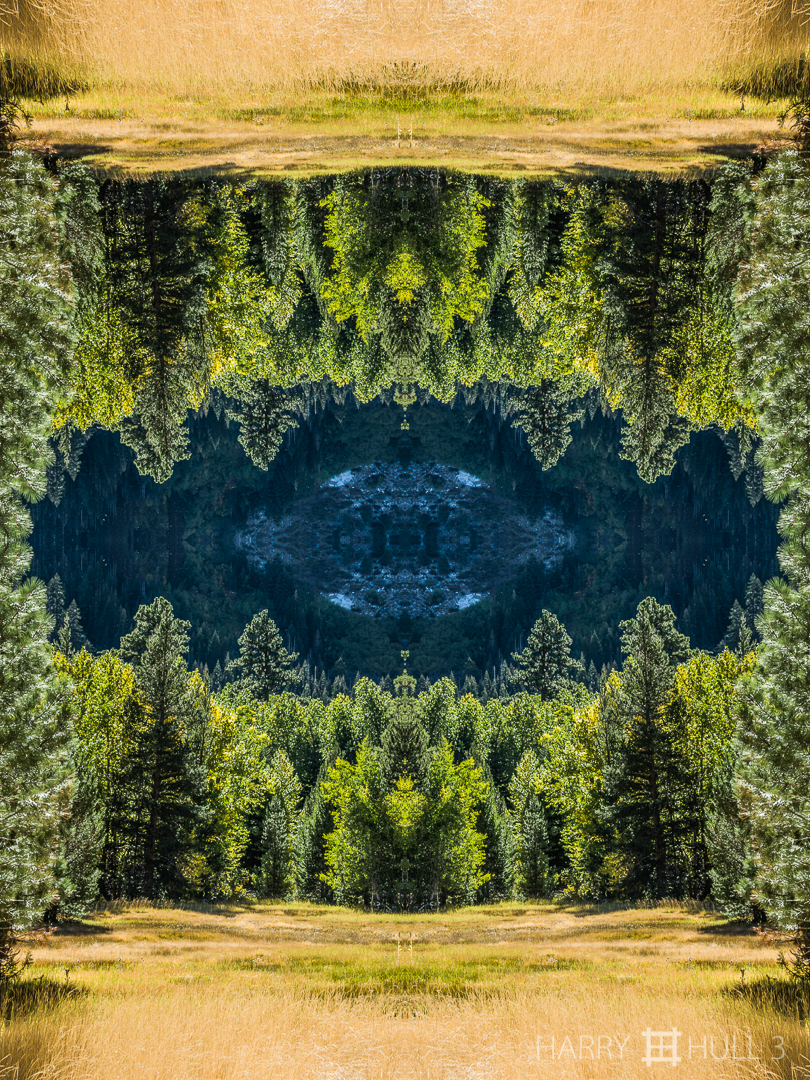 Mountain gateway. Photo of a meadow and forest in the Eastern Sierra Nevada mountains, California.