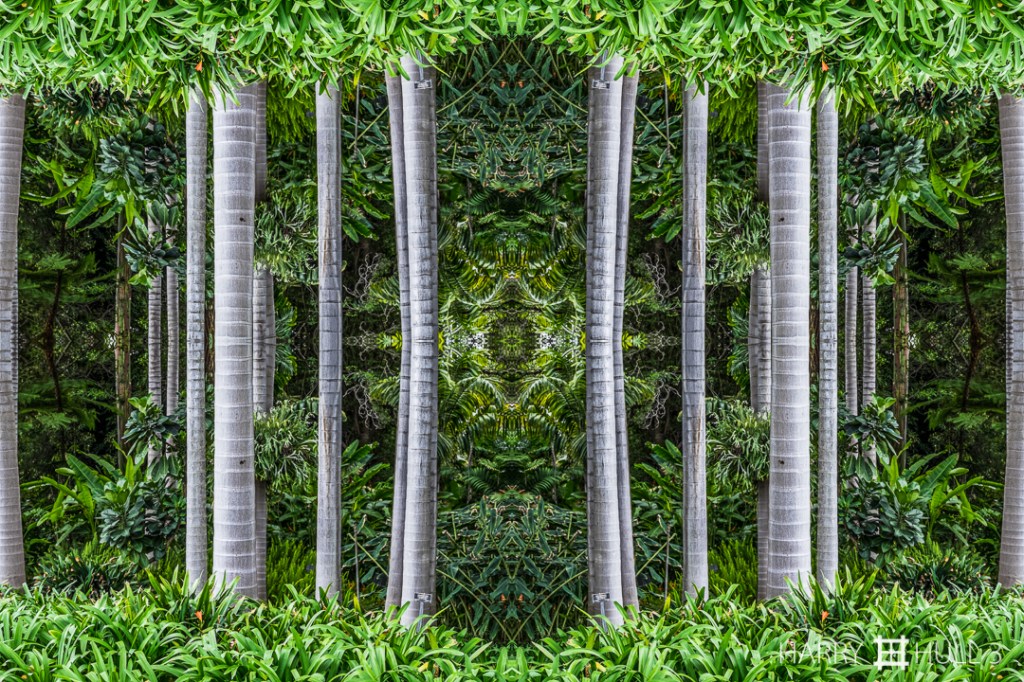 Garden temple. Photo of palm trees and other tropical plants in the Huntington Gardens, San Marino, California.