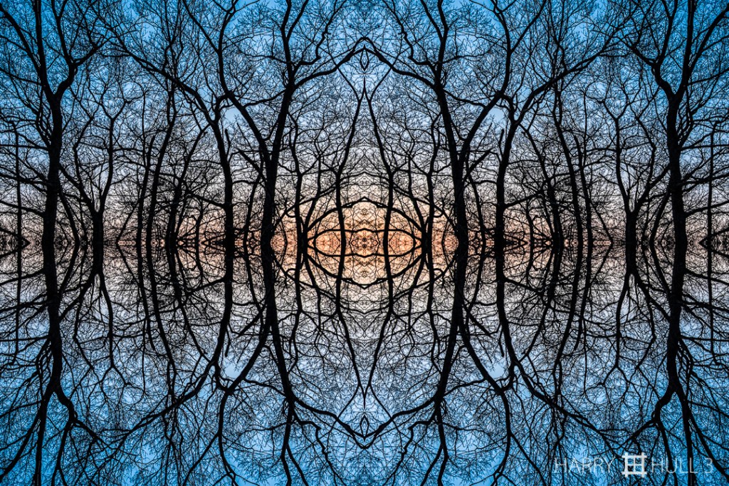 Awaiting spring. Photo of bare trees at sunset in early April near Eagle Head, Manchester, Massachusetts.