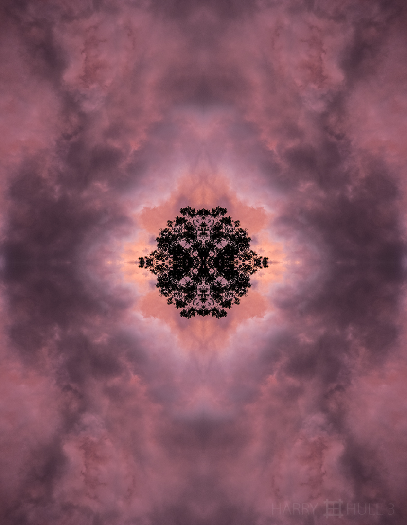 Tree-flake. Photo of tree top at sunset, Finca Cantaros, San Vito, Costa Rica.