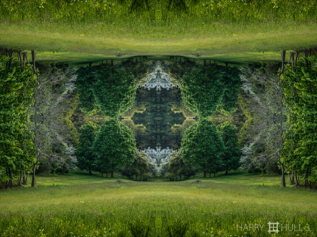 View of Spring. Photo of Winthrop Field from Jersey Lane in Spring, Manchester, Massachusetts.