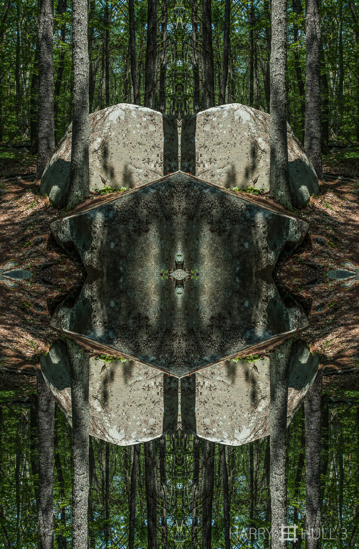 Pleistocene remnants. Photo of large glacial erratic granite boulders in the forest near Magnolia, Massachusetts.