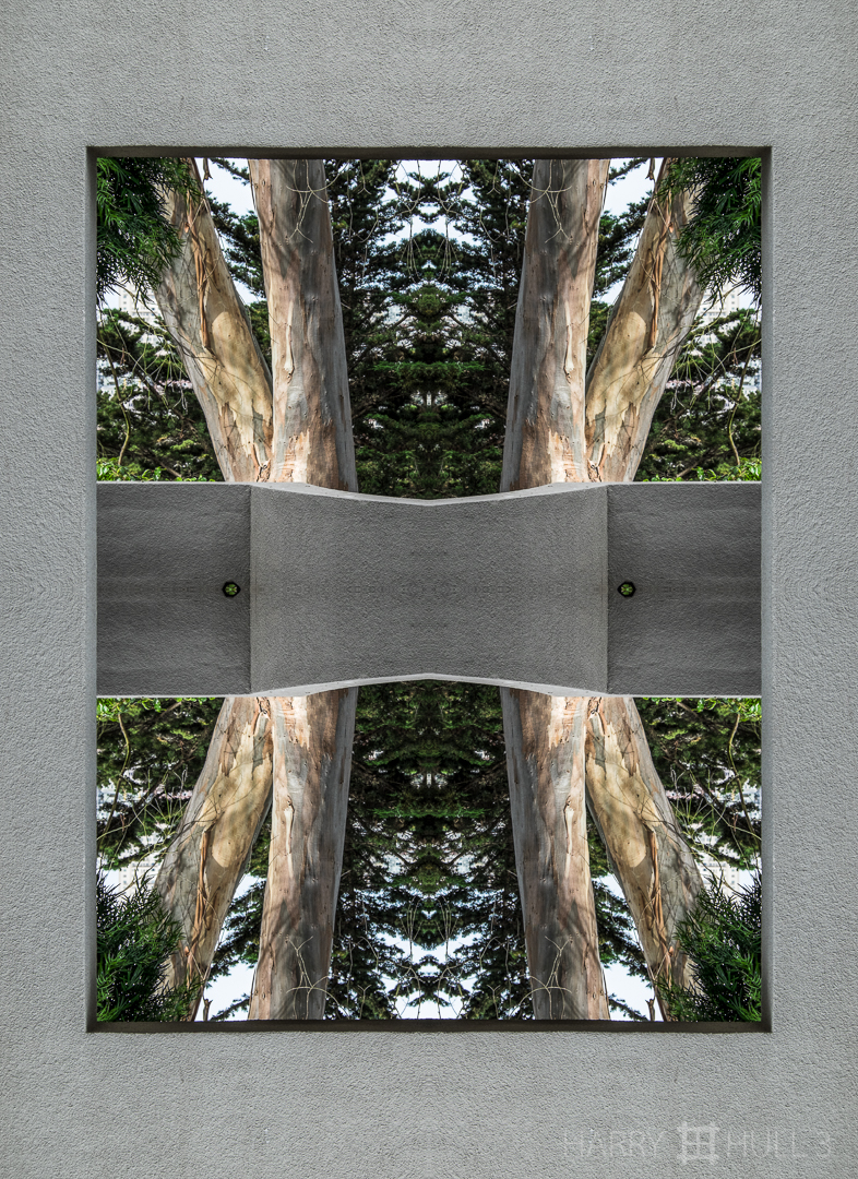 Framed eucalyptus. Photo of eucalyptus trees through a concrete portal near the entrance to Coit Tower, Telegraph Hill, San Francisco, California.