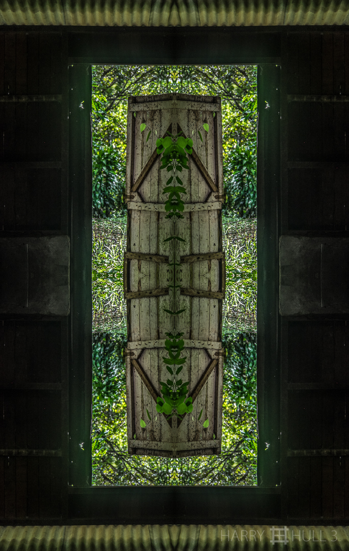 Afterlife. Photo of a partially opened door, taken from inside an old shed, Coto Brus, Costa Rica.