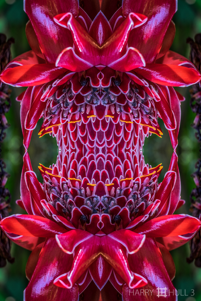 Expanding universe (Mandala-HH3-150626-5517F-Edit-3)