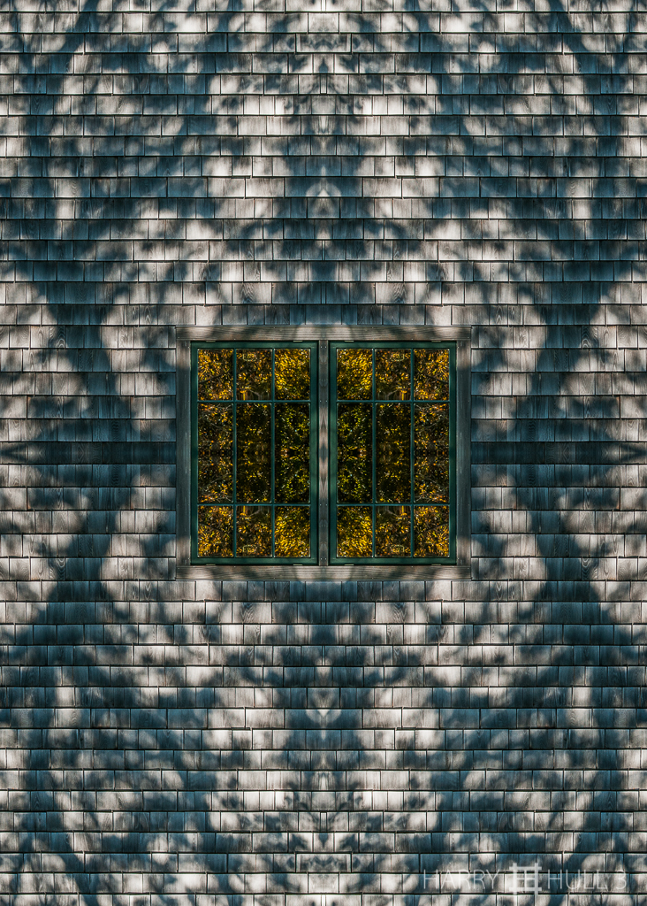 Tree shadows and reflections (Mandala-HH3_121013_9946-Edit-2)