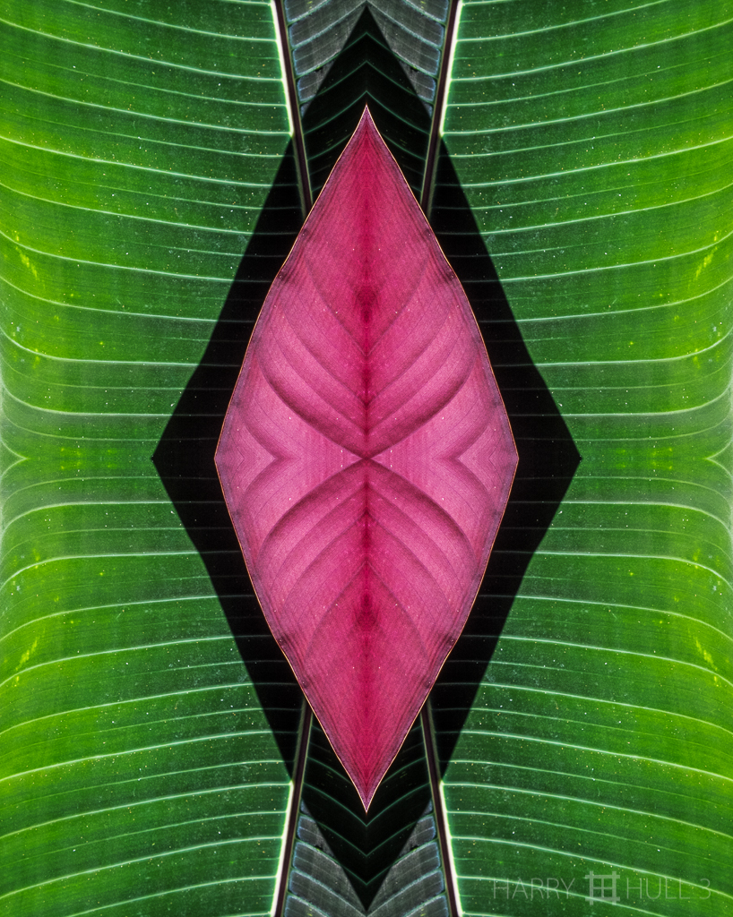 Tropical shield (Mandala-HH3-150322-4945F-Edit-2)