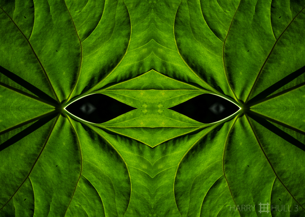 Leaf mask (Mandala-HH3-160108-6999F-Edit)
