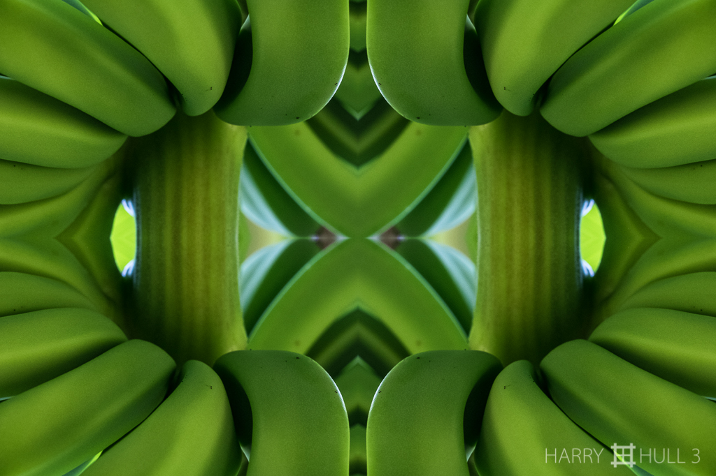 Fruit factor (Mandala-HH3-160112-7035F-Edit-2)