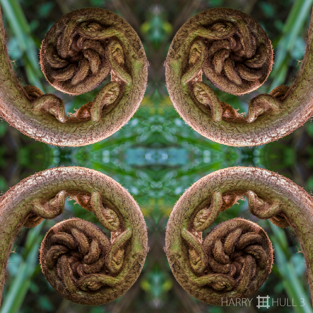 Homage to Tarxien spirals (Mandala-HH3-150322-5005F-Edit-3)