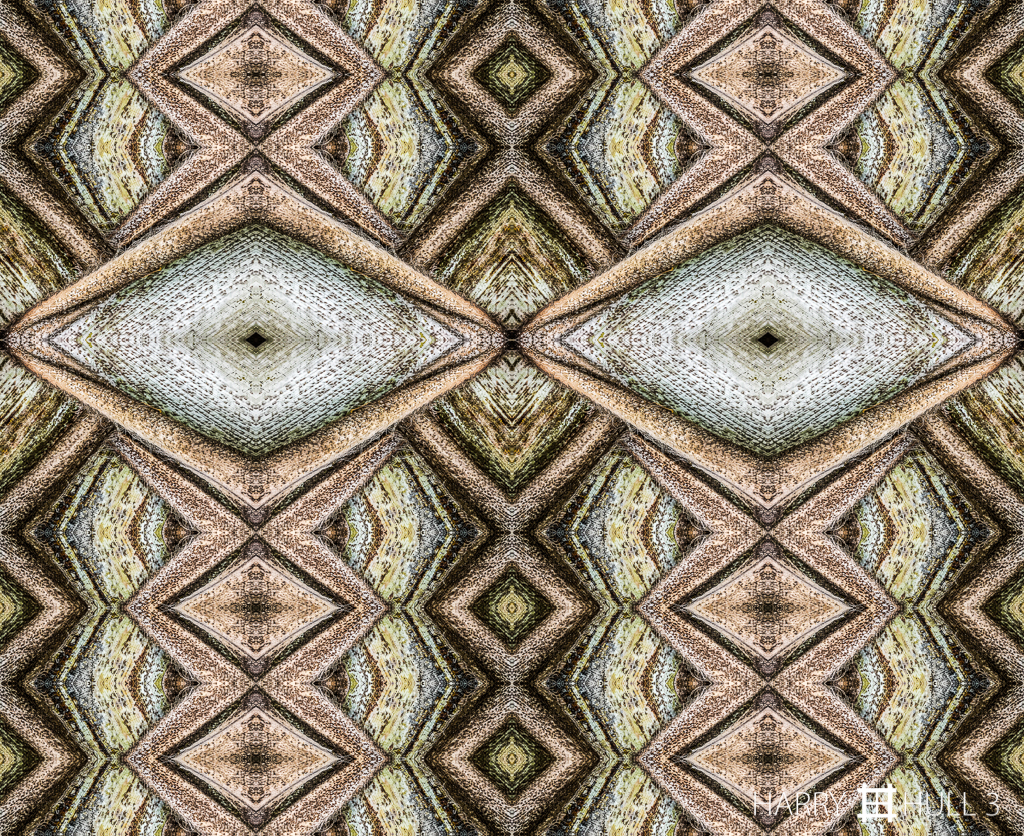 Tree frog? (Mandala-HH3_160122_3497i-Edit-2-Edit-Edit)