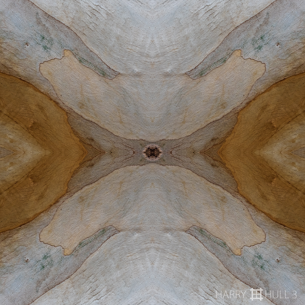 Rhytidomic landscape (Mandala-HH3_160416_7882F-Edit)