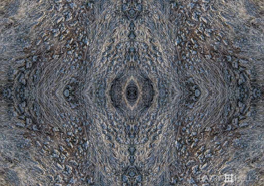 Grass galaxy (Mandala-HH3_160416_7920F-Edit)