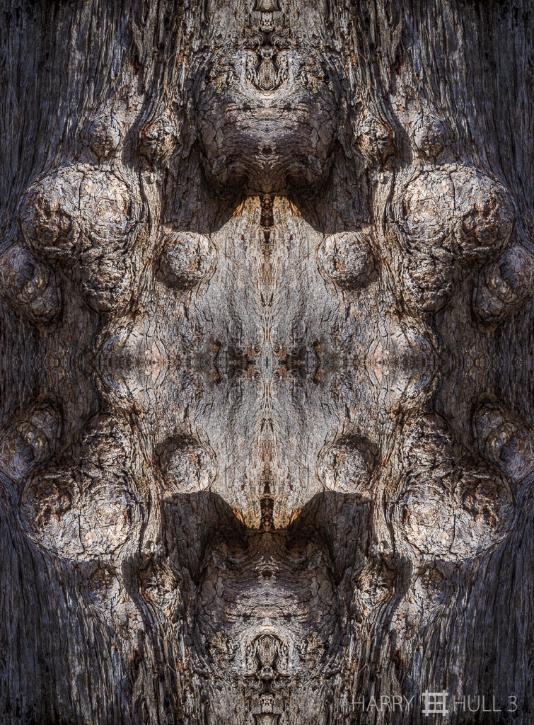 Tree goddess? (Mandala-HH3_160426_8608F-Edit-2)