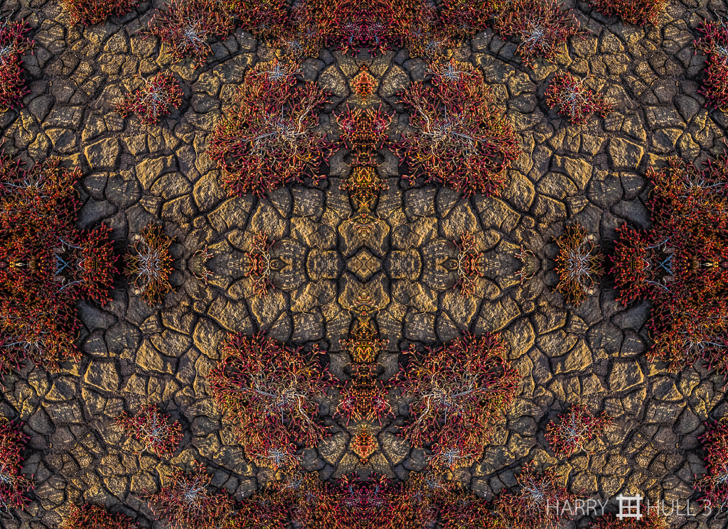 Cracked earth (Mandala-HH3_160416_7936F-Edit)