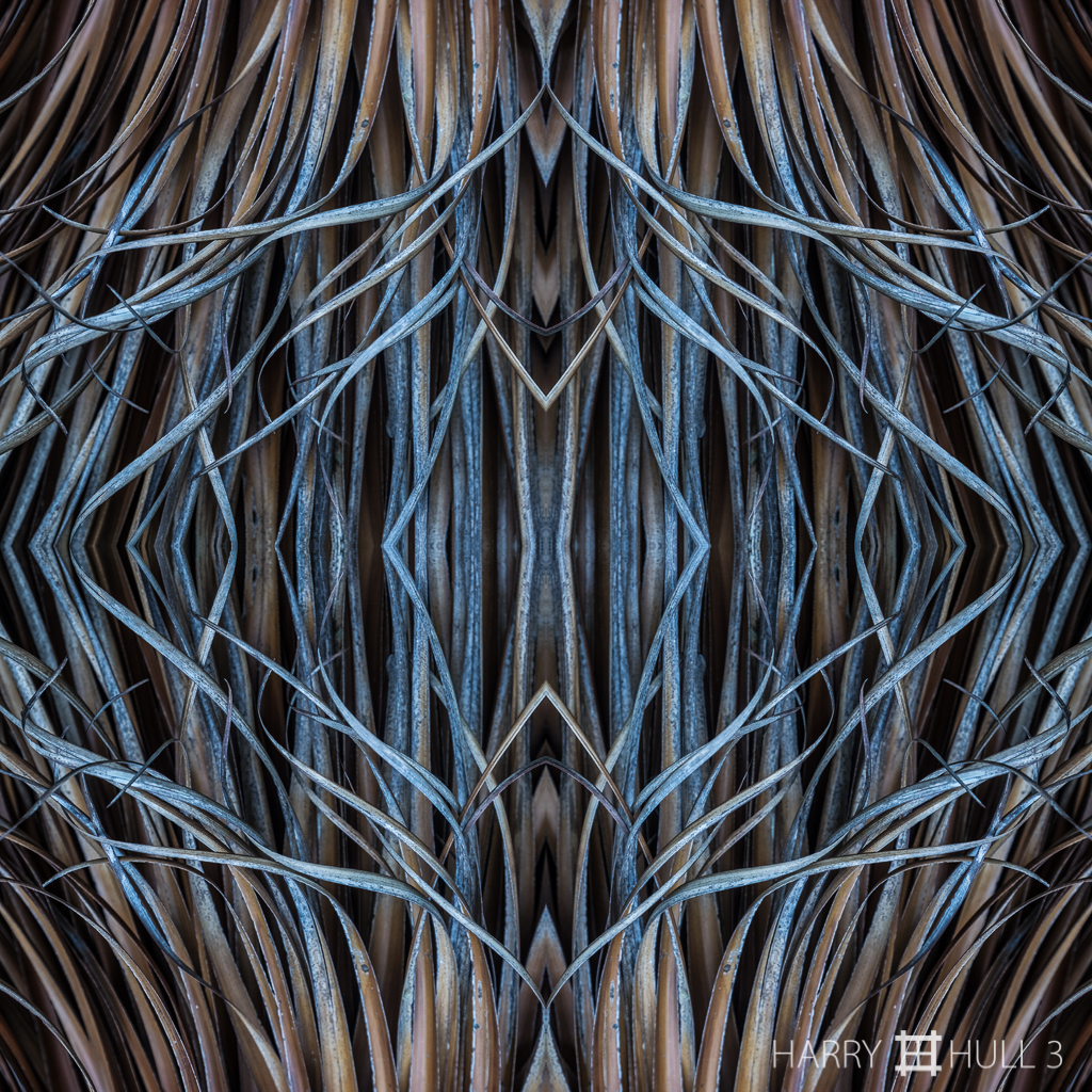 Evidence of escape (Mandala-HH3_160424_8463F-Edit)