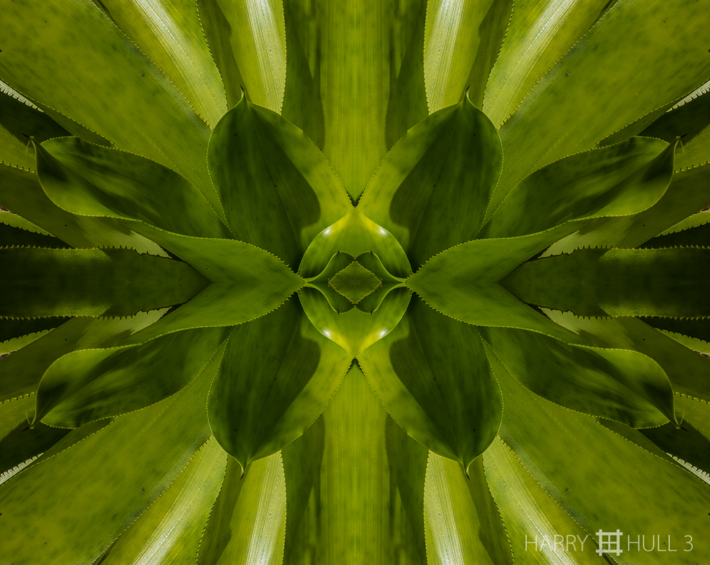Soothing with an edge (Mandala-HH3_160706_8995F-Edit)