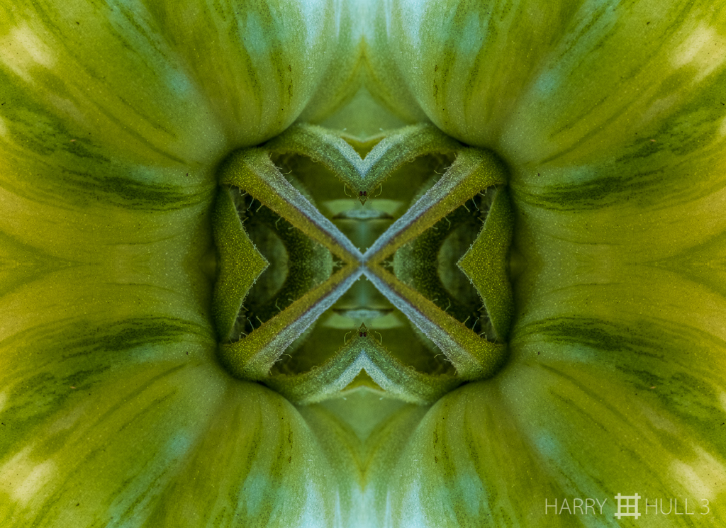 Tomato vault (mandala-hh3_160916_0178f-edit)