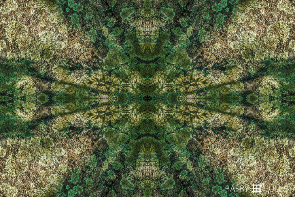 Forest rock (mandala-hh3_160917_0218f-edit)