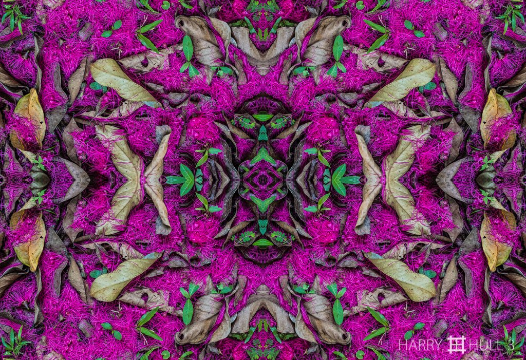 Colorfall (mandala-hh3_161025_0543f-edit)