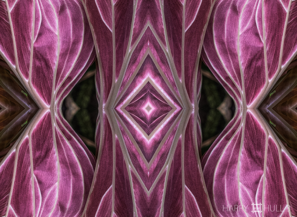 Heart of the matter (mandala-hh3_161028_0674f-edit)