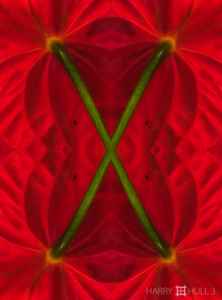 Green X (mandala-hh3_161124_0738f-edit)