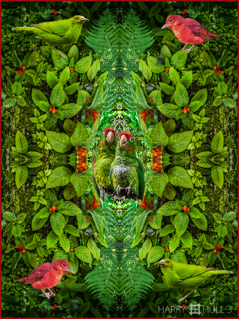 Season's Greetings! (mandala-hh3_070628_5500-edit-3-3wborder-2)