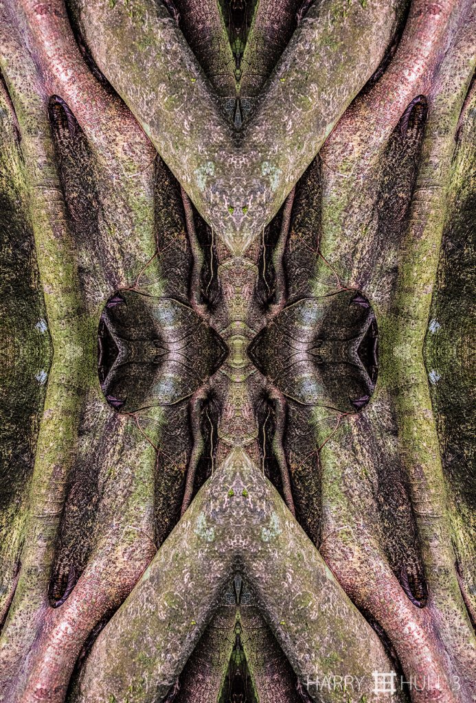 Forest effigy (mandala-hh3_161230_0936f-edit)