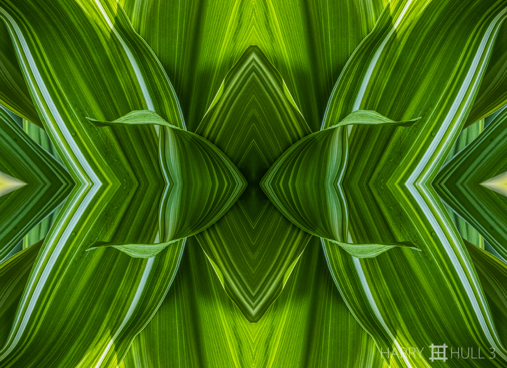 Living malachite (mandala-hh3_161214_0843f-edit)
