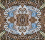 Mandala-HH3_200325_1871i-Edit-2