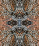 Mandala-HH3_250418_5921i-Edit