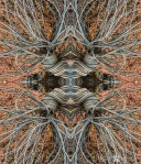 Mandala-HH3_250418_5921i-Edit